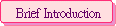 Brief Introduction